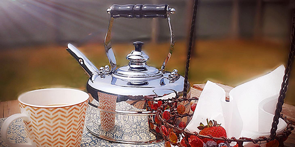 ​Наплитные чайники Richmond: гармония классики и современности