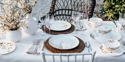 Ручная роспись фарфора как отдельный вид искусства