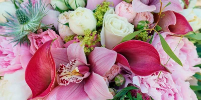 Поздравляем с 8 марта!