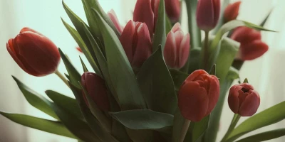 Поздравляем с 8 марта!